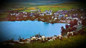 2014-08-25 16.24.46-1